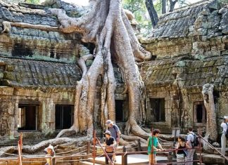 Khám phá đền Ta Prohm Campuchia, ngôi đền bí ẩn với những rễ cây kì dị